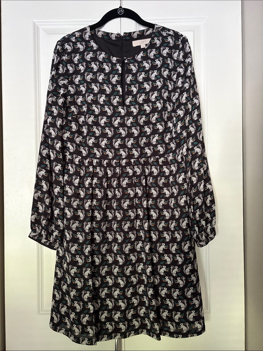 Ann Taylor Loft Squirrel Print Dress